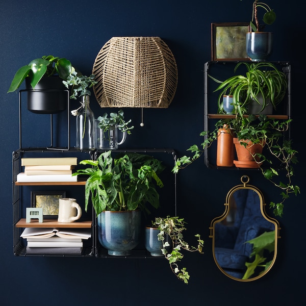A dark blue wall with a mirror, a wall lamp and wired shelving units filled with potted plants and books.