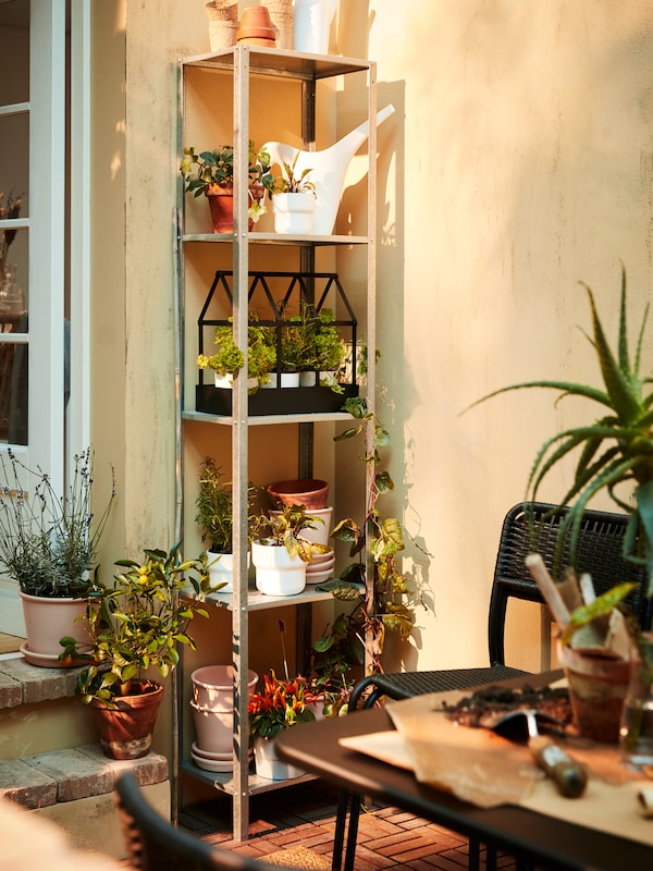 A tall metal shelving unit with potted plants, herbs, a white watering can, a black decorative greenhouse and pots.