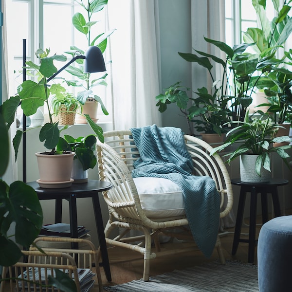 An area by a window becomes an oasis with plants in CHIAFRÖN and MUSKOTBLOMMA pots, an INGABRITTA throw and a rattan chair.