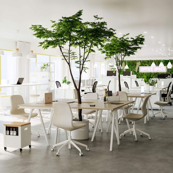 An office with beige chairs with white bases, white framed tables with wood table tops and trees in the middle of the desks.