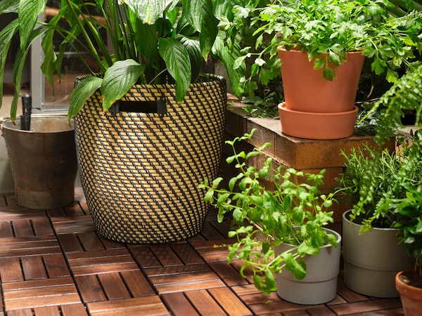 Green plants and herbs in ceramic pots & stands atop outdoor patio flooring tiles. 