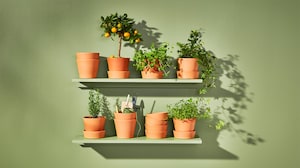 Outdoor pots & plants
