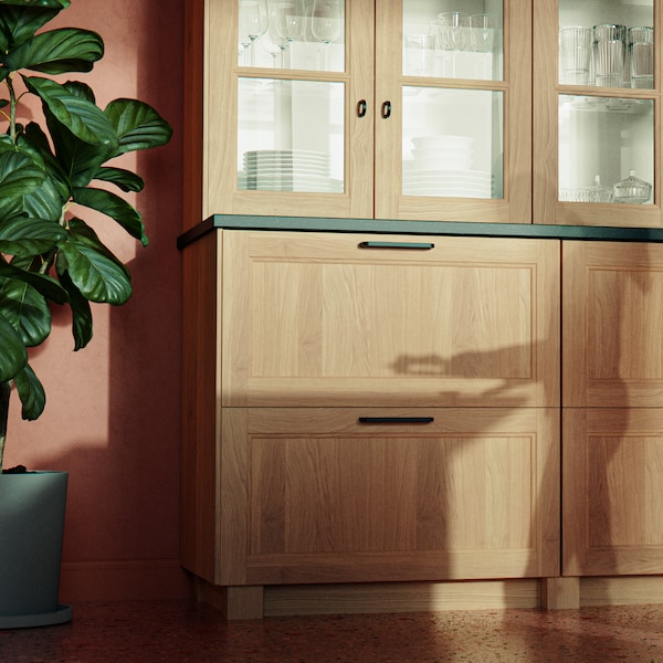 Part of a kitchen with cabinets and drawers with VEDHAMN glass doors and drawer fronts and a large plant.