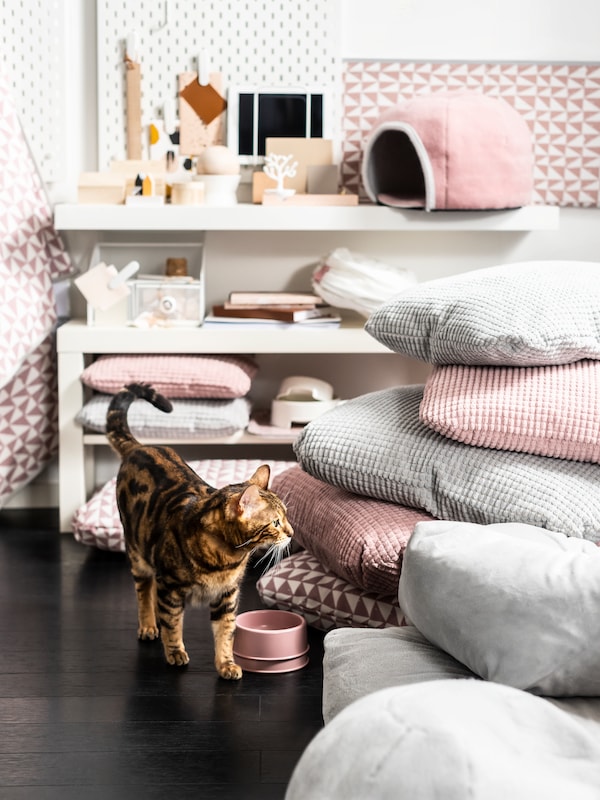 A brown, black and white cat is standing next to a pink LURVIG bowl in a room with lots of pink and grey cushions.