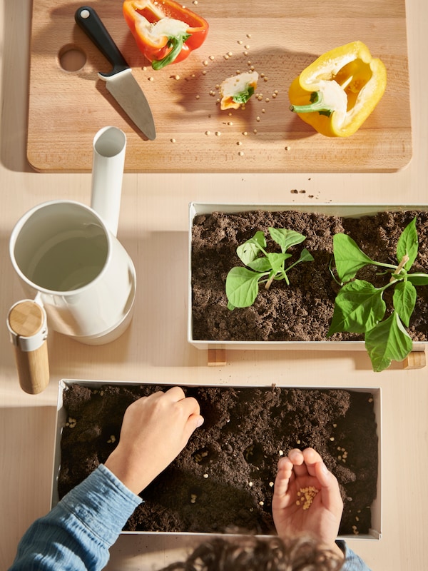 A child’s hands planting seeds in a BITTERGURKA plant pot, a PROPPMÄTT chopping board with cut paprika, a watering can.