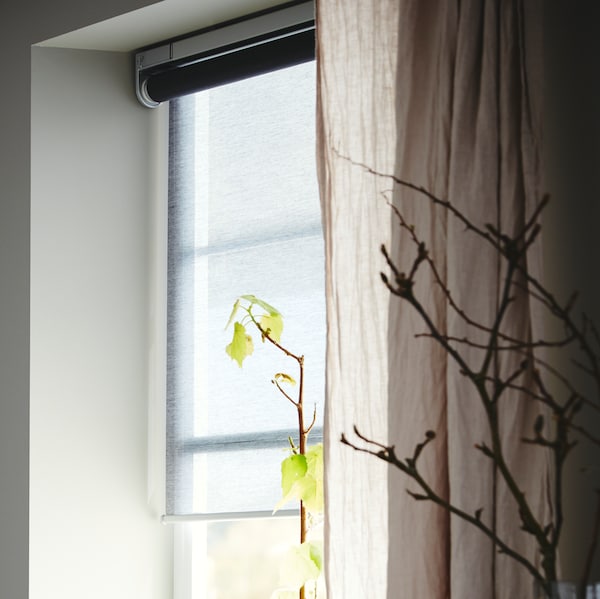 The stem of a plant reaches up into a window with curtains and a grey KADRILJ wireless/battery-operated roller blind.