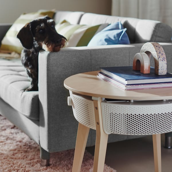 A dog with its chin on the armrest of a LANDSKRONA sofa looks at a STARKVIND table with air purifier.