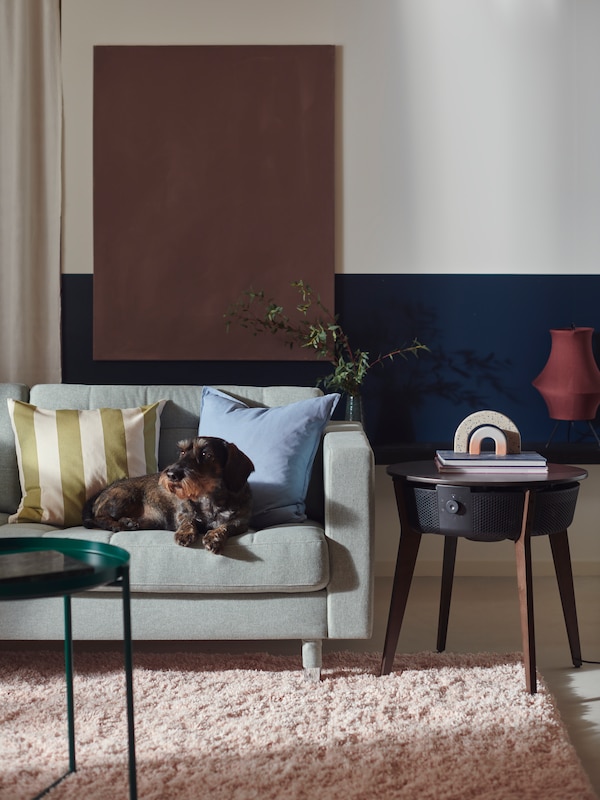 A small dog resting on a LANDSKRONA sofa looks to its right. The STARKVIND table with air purifier is beside the sofa.