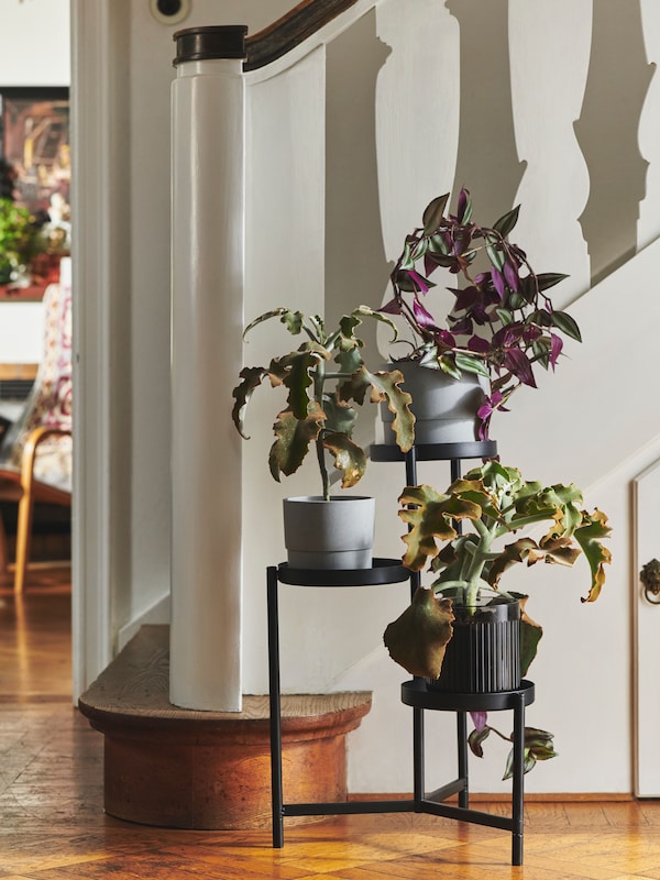 A hallway with a staircase and a black OLIVBLAD plant stand with three potted plants on its shelves.